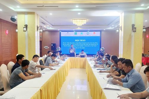Còn nhiều khoảng trống trong thực thi chính sách liên quan đến thủy điện nhỏ