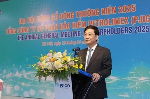 ĐHĐCĐ PJICO (PGI) chốt phương án chia cổ tức tiền mặt 2024 tỷ lệ 12%, đặt mục tiêu lãi 306 tỷ đồng năm 2025