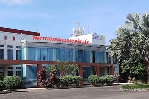 Đầu tư Cao su Đắk Lắk (DRI) đặt mục tiêu lợi nhuận giảm, muốn chuyển sàn HoSE