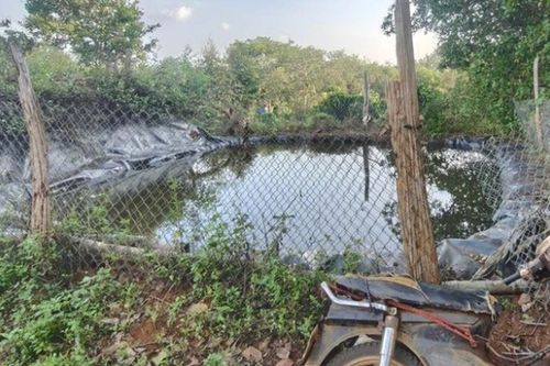 Hai anh em ruột tử vong thương tâm trong ao nước tưới cà phê