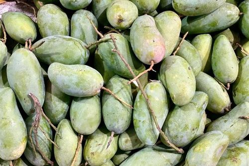 Xoài hạt lép bán đầy thị trường giá hơn chục nghìn/kg, tiểu thương tiêu thụ vài tạ mỗi ngày