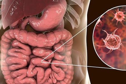 Câu hỏi thường gặp liên quan đến bệnh lỵ trực trùng