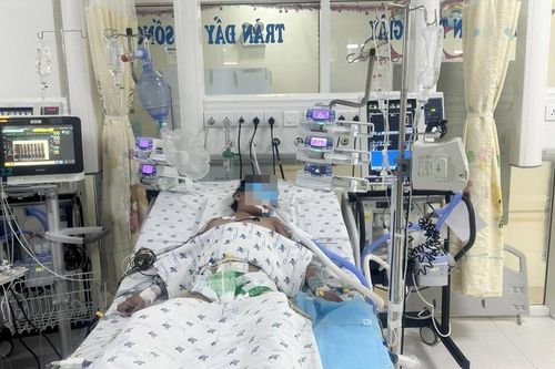 Cứu sống bé gái 9 tuổi thở máy vì sốc xuất huyết nặng