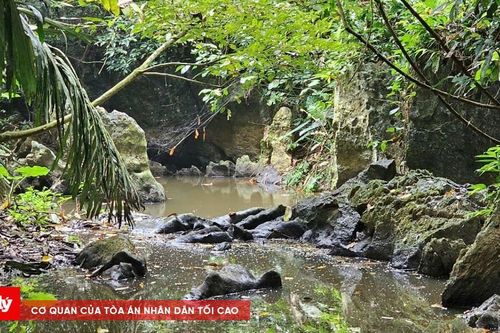 Xử phạt trang trại nuôi lợn gây ô nhiễm nước suối Lèn Cò Noóng