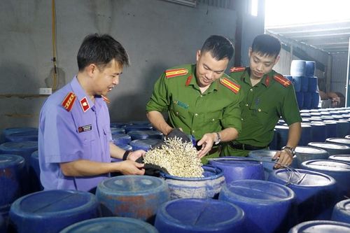 Khởi tố nhóm đối tượng sử dụng hóa chất độc hại để trồng giá đỗ