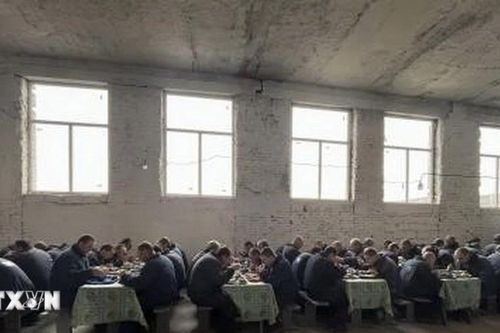 Nga và Ukraine tiến hành đợt trao đổi tù binh lớn nhất từ khi xung đột nổ ra