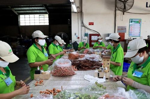 Thành phố Hồ Chí Minh: Cái nôi khởi nghiệp, kinh doanh