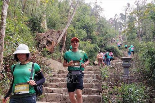 Trên 3.000 vận động viên 'Chinh phục đỉnh Phù Vân'