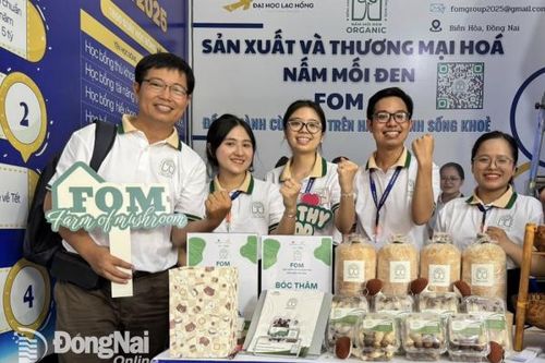 Trường đại học Lạc Hồng tiếp tục có dự án vào chung kết SV-Startup