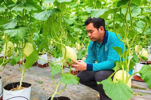 Phát triển phong trào khởi nghiệp theo hướng bền vững