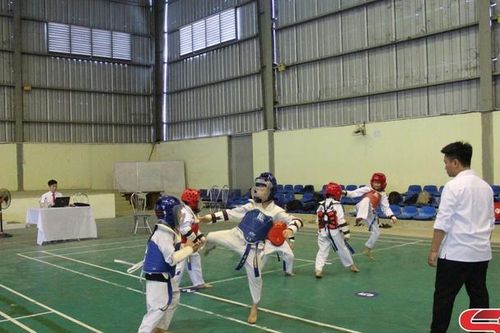 177 võ sinh Taekwondo được thăng cấp đai