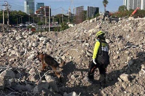Vụ sập tòa nhà 30 tầng ở Bangkok: Phát hiện nhiều nạn nhân là người Myanmar