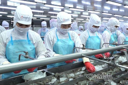 Mốc thời gian 'vàng' để doanh nghiệp điều chỉnh chiến lược