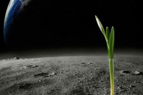 Phát hiện khả năng có sự sống ở hành tinh khác, chuyên gia nói gì?