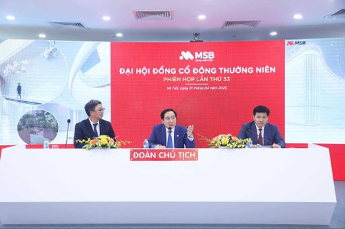 MSB đặt mục tiêu lợi nhuận 8.000 tỷ đồng, dự định mua lại công ty chứng khoán