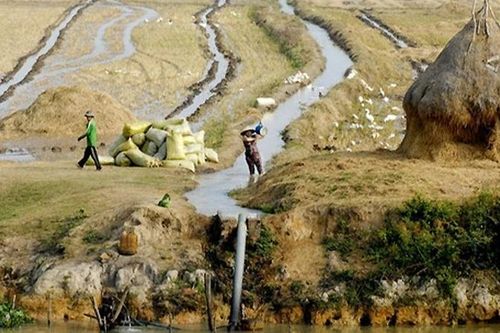 Từ ngày 21-30/4: Xâm nhập mặn ở Nam Bộ có xu thế tăng vào những ngày cuối tuần
