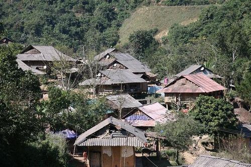 Điện Biên phân bổ hơn 846,4 tấn gạo cứu đói giáp hạt cho người nghèo