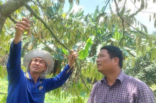Đi qua trục đông-tây Phú Yên lên Đắk Lắk