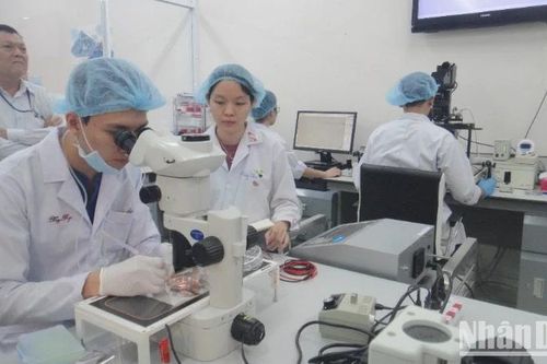 Đại học Quốc gia Thành phố Hồ Chí Minh mời 16 chuyên gia hàng đầu quốc tế làm giáo sư thỉnh giảng