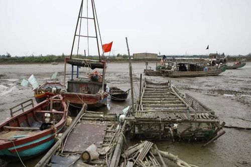 Tàu thuyền mắc cạn vì luồng lạch bồi lắng nghiêm trọng