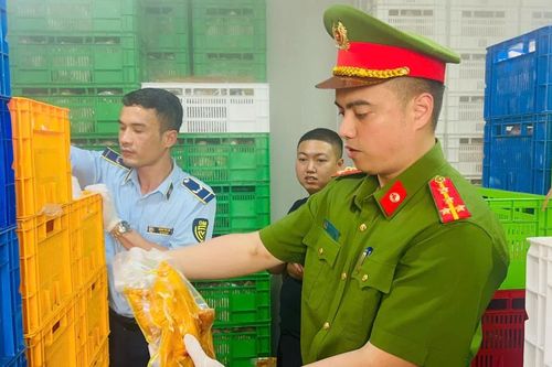 Ngăn chặn khoảng 20 tấn gà 'bẩn' chuẩn bị tuồn ra thị trường