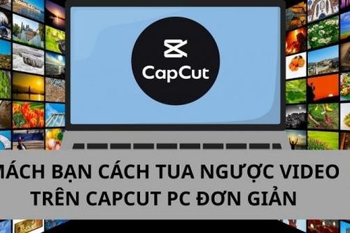 Mách bạn cách tua ngược video trên CapCut PC không phải ai cũng biết