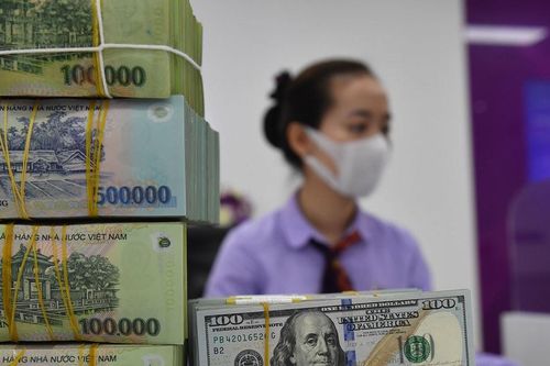 Tỷ giá USD hôm nay 21/4/2025: Giảm nhẹ tại thị trường tự do