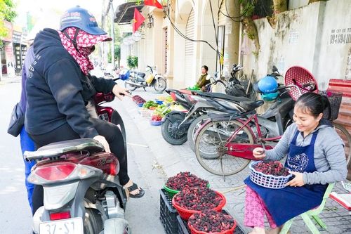 Nắng nóng đầu mùa ở Nghệ An, trái cây giải nhiệt 'đắt hàng'