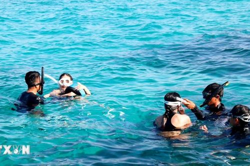 Bình Thuận: Nhiều trải nghiệm du lịch mới lạ tại đảo Phú Quý
