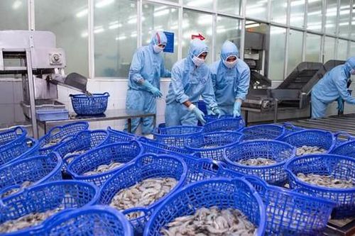 Lợi nhuận Sao Ta 'bốc hơi' mạnh ngay trong quý đầu năm 2025