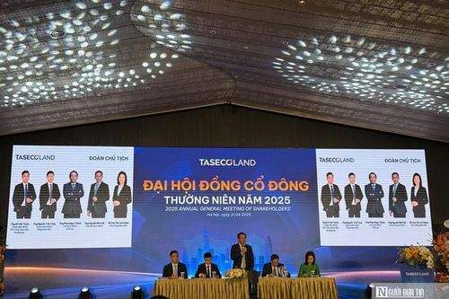 Taseco Land lên kế hoạch doanh thu tăng nhưng lợi nhuận đi lùi