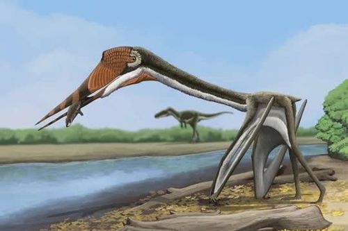 Phát hiện 'Rồng địa ngục' quái vật bay tiền sử chưa từng được biết đến ở Mỹ