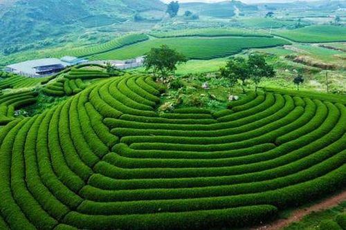 Trong túi chỉ có 5 triệu, mách bạn 6 điểm đến thú vị nhất định phải đi trong dịp lễ 30/4-1/5 tới