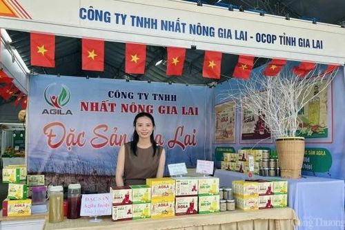 Thương hiệu OCOP – từ tem nhãn đến niềm tin người dùng