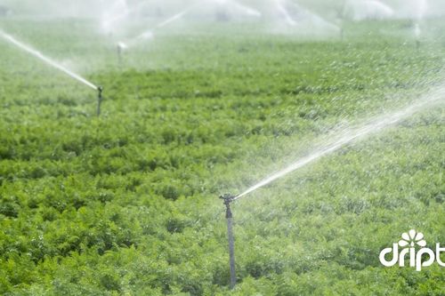 Nhà Bè Agri - Đơn vị chuyên về thiết bị tưới tiêu nông nghiệp
