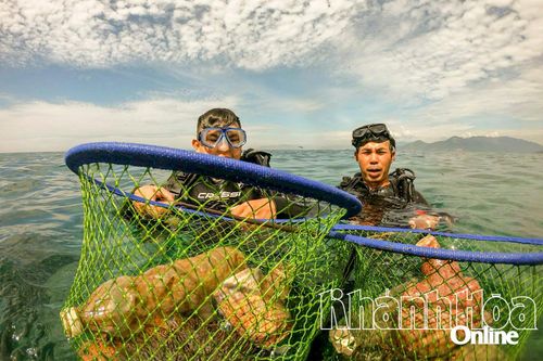 Chung tay bảo vệ môi trường biển