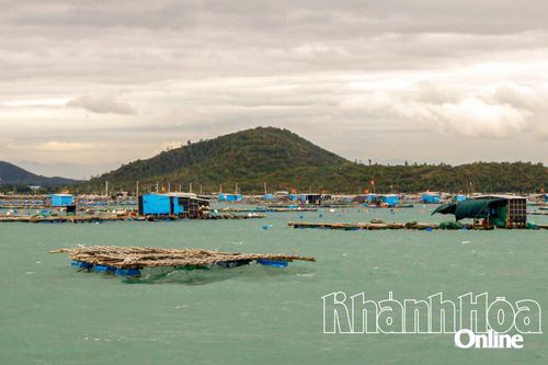 Tăng cường quản lý hoạt động nuôi trồng thủy sản