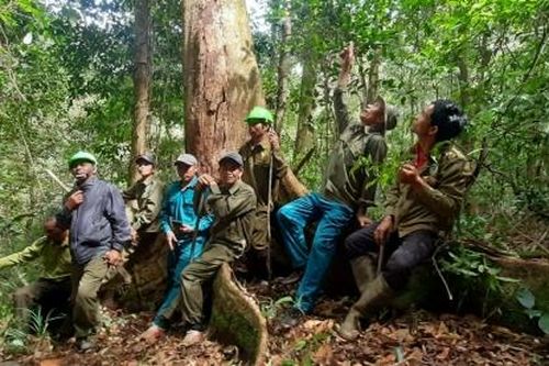 Di Linh: Gắn quản lý tài nguyên khoáng sản với công tác quản lý, bảo vệ rừng