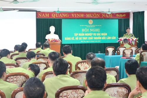 Hướng dẫn thực hiện xác nhận bảng kê, hồ sơ truy xuất nguồn gốc lâm sản