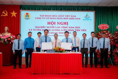 Công ty CP Phân bón Miền Nam: Chung tay vượt khó, đồng hành vì người lao động