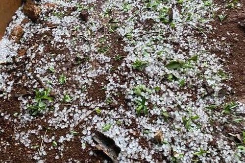Mộc Châu xuất hiện dông lốc, mưa đá