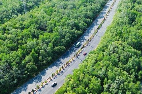 Ngắm cung đường xanh mướt sắp có tuyến metro nối TP.HCM với biển Cần Giờ