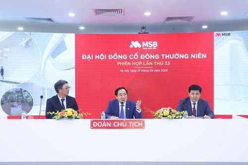 Đại hội đồng cổ đông MSB: Có 2-3 đối tác muốn mua lại công ty tài chính