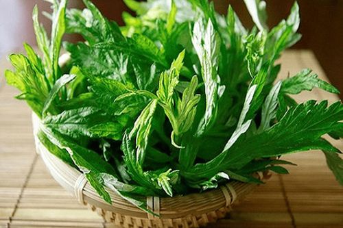 Bài thuốc giúp tăng tuần hoàn máu não từ ngải cứu