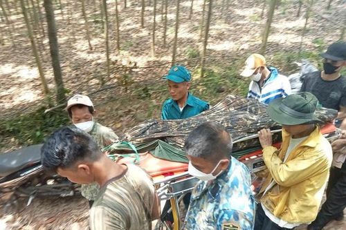 Người đàn ông tử vong bất ngờ khi đi săn ếch