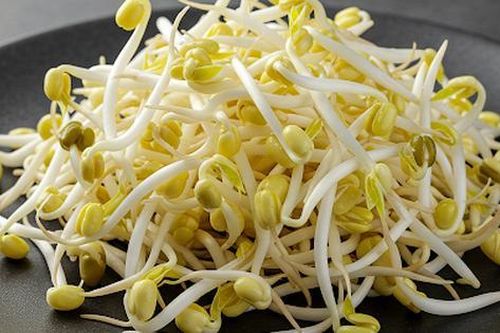 Cách chọn giá đỗ tự nhiên, phân biệt với giá đỗ có hóa chất