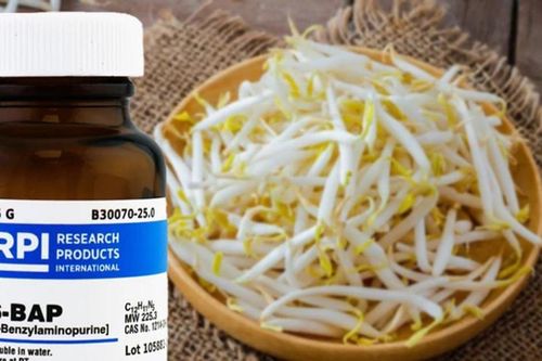 Xin đừng 'đầu độc' đồng bào