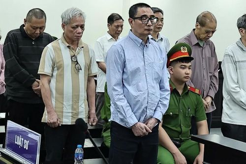 Cựu Tổng giám đốc Tổng công ty Chè Việt Nam lãnh án 12 năm tù