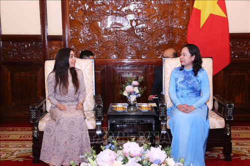 Phó chủ tịch nước Võ Thị Ánh Xuân tiếp Phó chủ tịch Quỹ Heydar Aliyev
