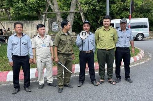 Xử lý triệt để tình trạng bán hàng rong, kinh doanh trái phép tại bán đảo Sơn Trà